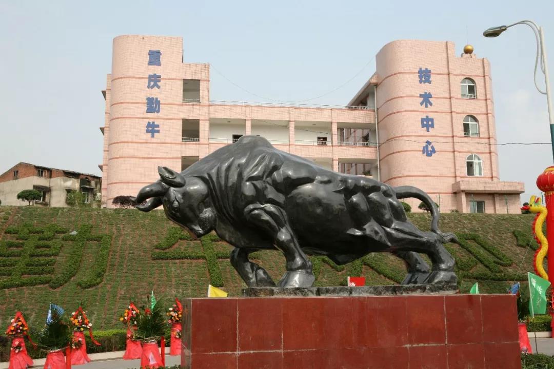 走進勤牛陳列室，砥礪民企強國志